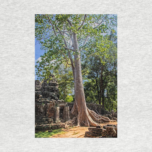 Giant Banyan Tree at Banteay Kdei by BrianPShaw